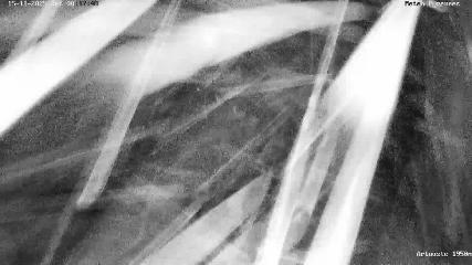 Artouste: 1950m (artouste.fr)