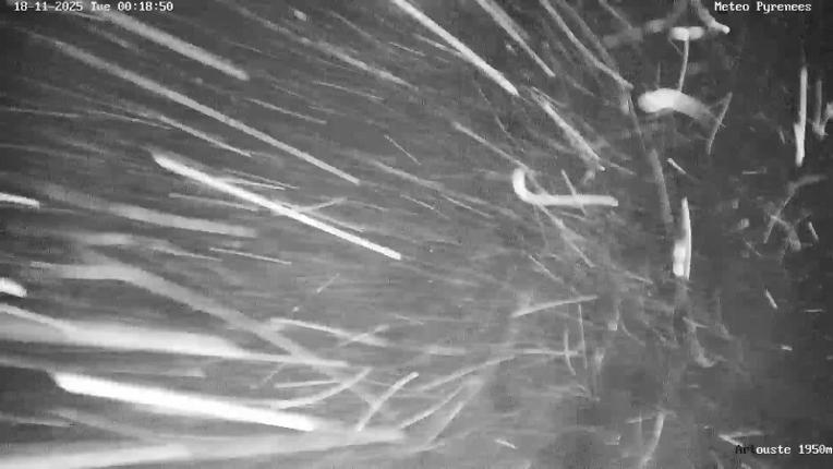 Webcam Artouste: 1950m