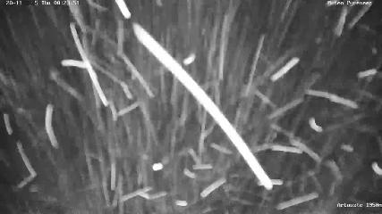 Artouste: 1950m (artouste.fr)