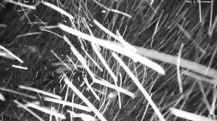 Artouste: 1950m (artouste.fr)