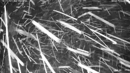 Artouste: 1950m (artouste.fr)