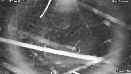 Artouste: 1950m (artouste.fr)