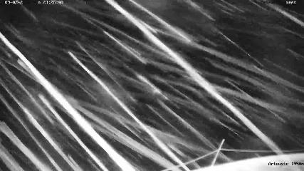 Artouste: 1950m (artouste.fr)