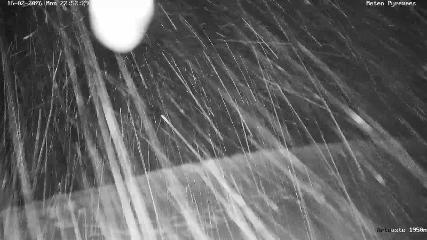 Artouste: 1950m (artouste.fr)