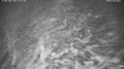 Artouste: 1950m (artouste.fr)