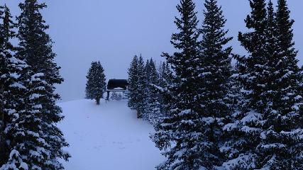 Aspen Highlands: Aspen Highlands (aspensnowmass.com)