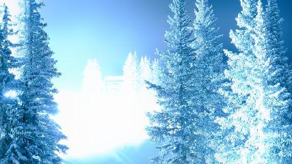 Aspen Highlands: Aspen Highlands (aspensnowmass.com)