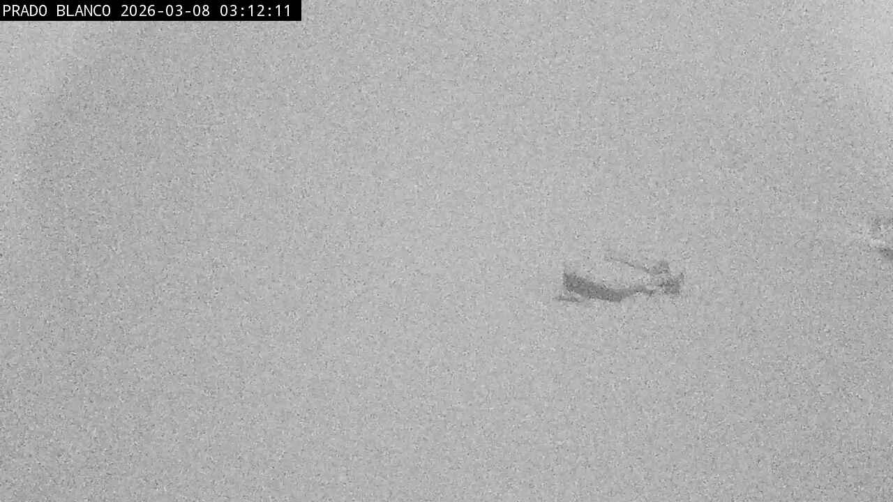 Webcam Astún: Prado blanco