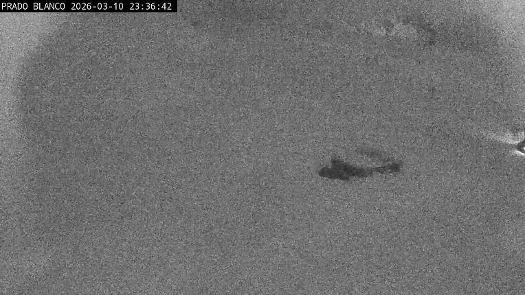 Webcam Astún: Prado blanco