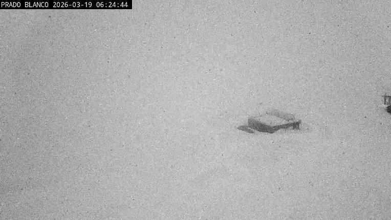 Webcam Astún: Prado blanco