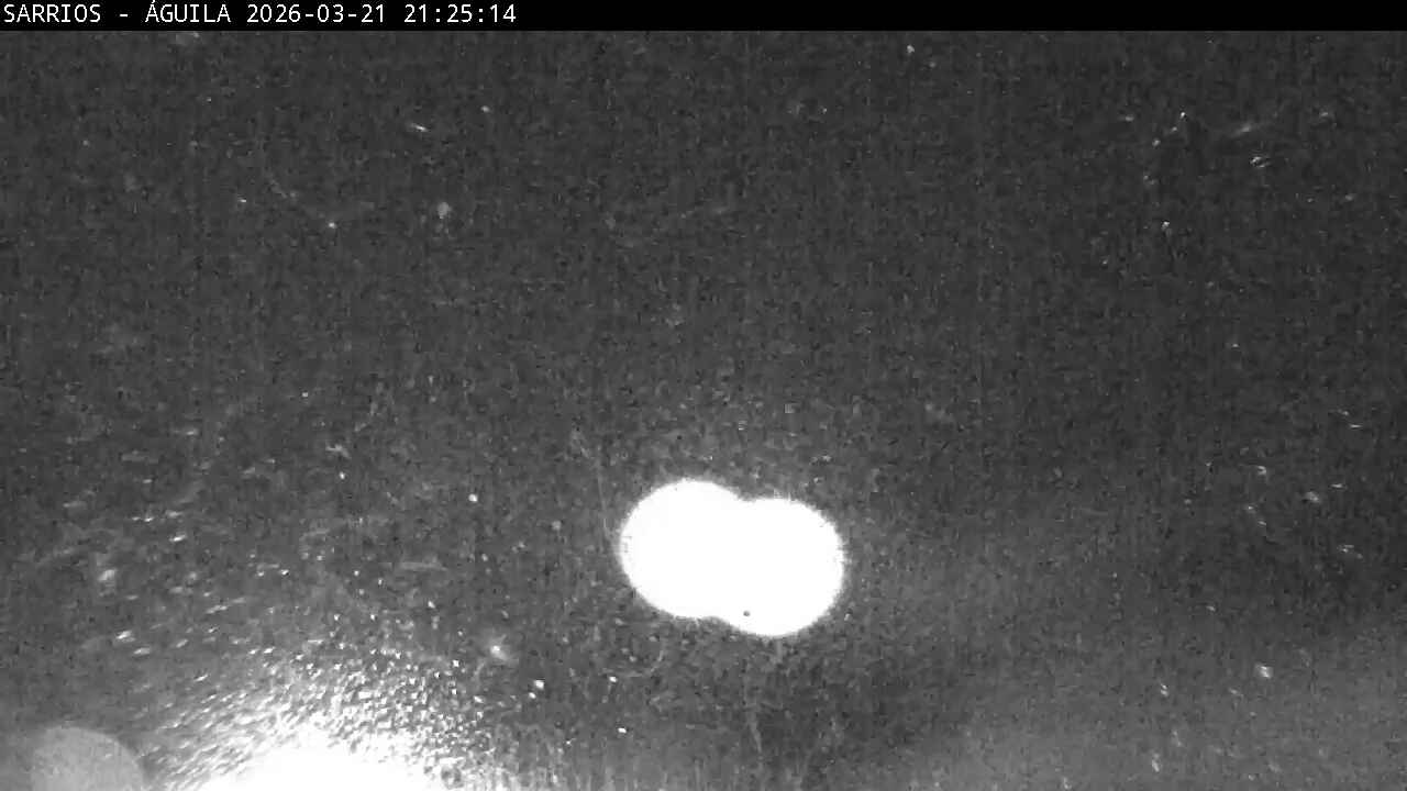 Webcam Astún: Sarrios-Aguila