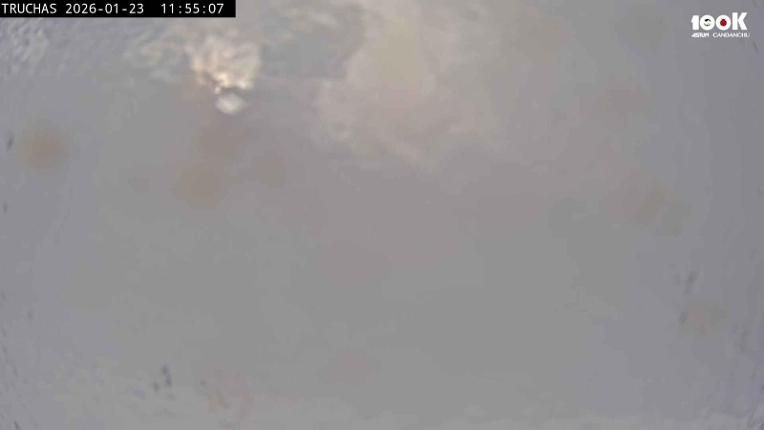 Webcam Astún: Truchas