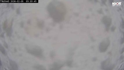 Astún: Truchas (astun.com)