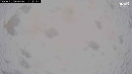 Astún: Truchas (astun.com)