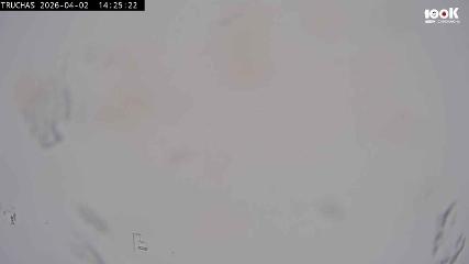 Astún: Truchas (astun.com)