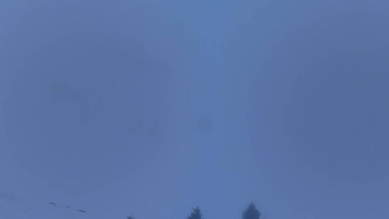 Webcam Avoriaz: Arare