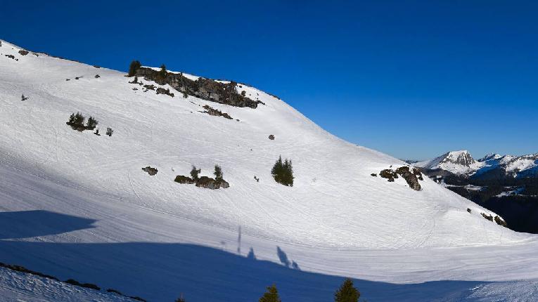 Webcam Avoriaz: Arare