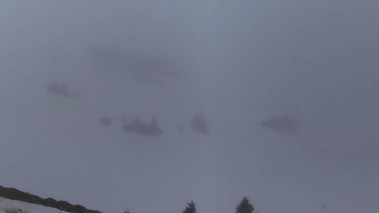 Webcam Avoriaz: Arare