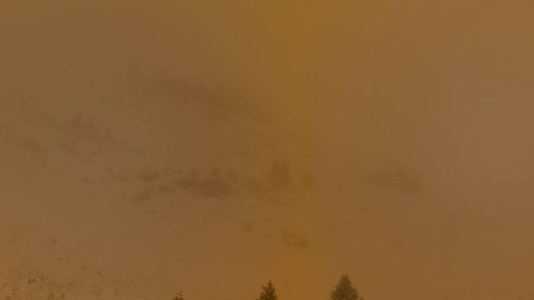 Webcam Avoriaz: Arare