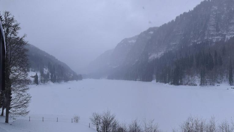Webcam Avoriaz: Montriond Lac