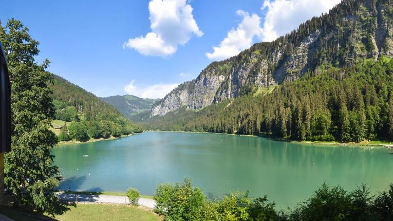 Webcam Avoriaz: Montriond Lac