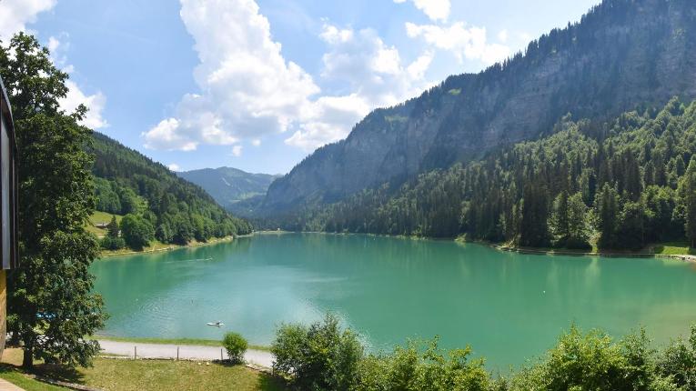 Webcam Avoriaz: Montriond Lac