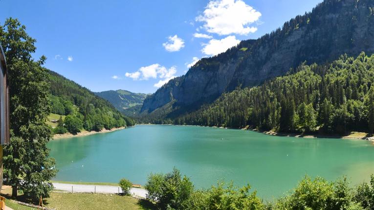 Webcam Avoriaz: Montriond Lac