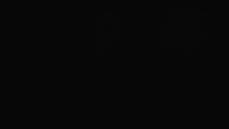 Webcam Ax 3 Domaines: Panoramique 2300m