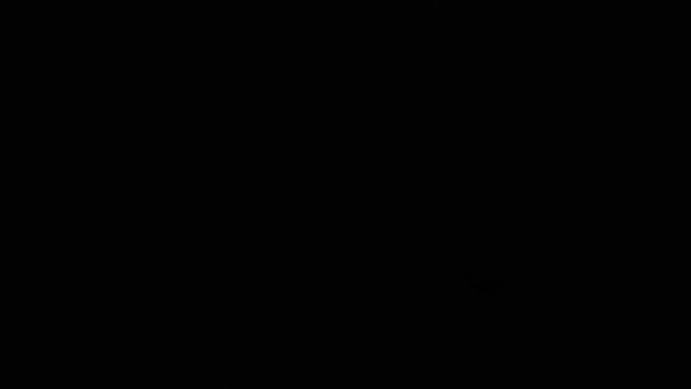 Webcam Ax 3 Domaines: Saquet 2000m