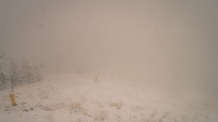 User report image in Bald Mountain Sun Valley