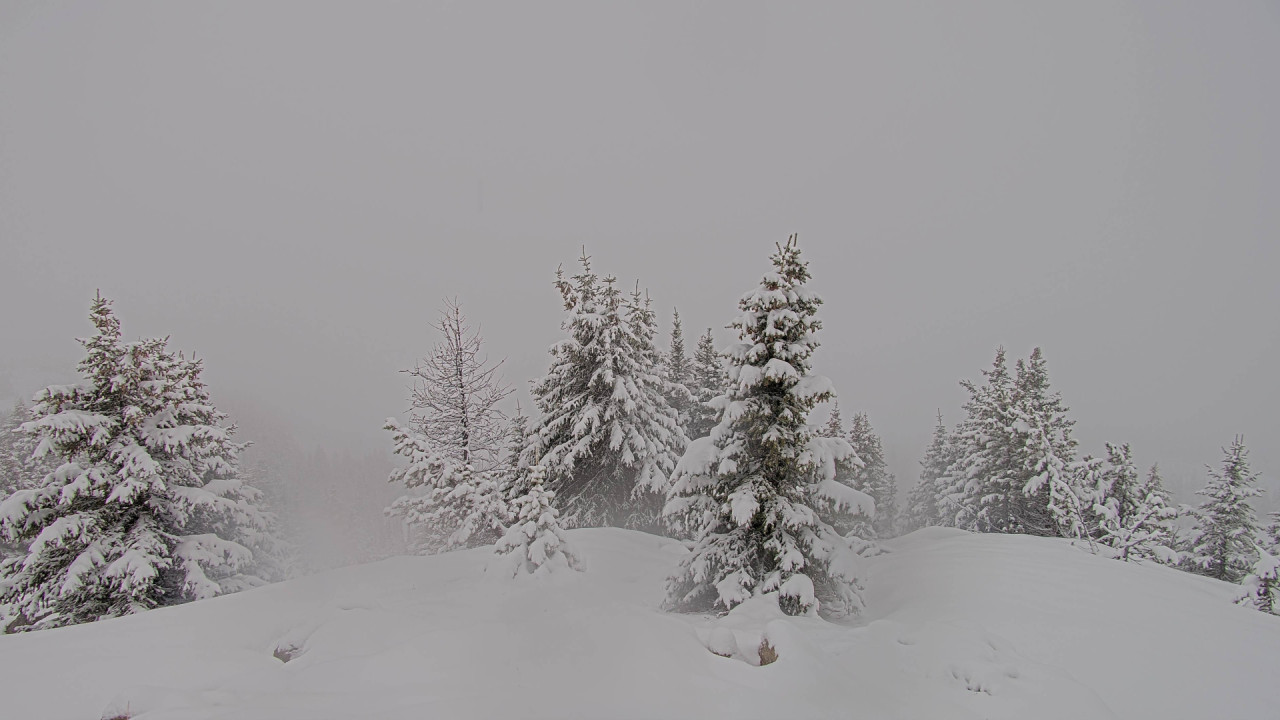 Webcam Banff Sunshine Village: Standish Viewing Deck