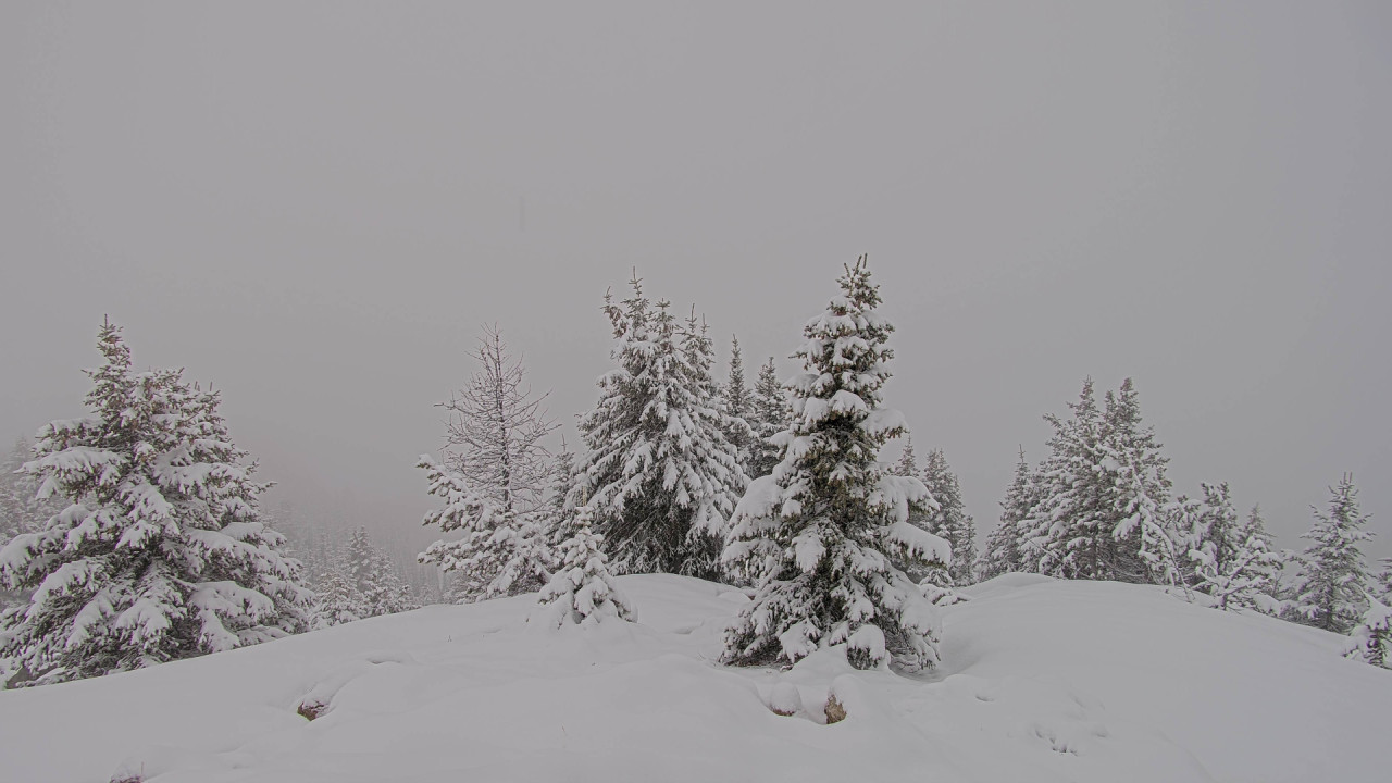 Webcam Banff Sunshine Village: Standish Viewing Deck