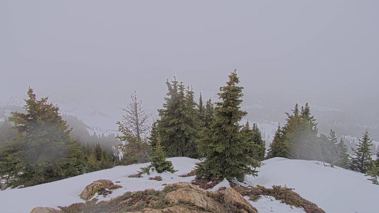 Webcam Banff Sunshine Village: Standish Viewing Deck