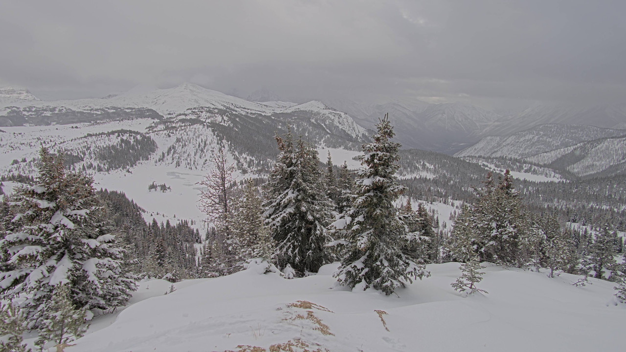 Webcam Banff Sunshine Village: Standish Viewing Deck