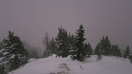 Banff Sunshine Village webcam