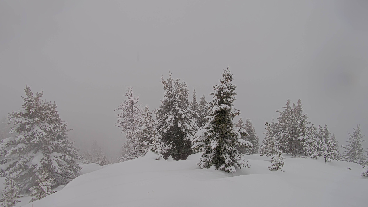 Webcam Banff Sunshine Village: Standish Viewing Deck