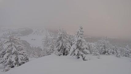 Banff Sunshine Village: Standish Viewing Deck (skibanff.com)