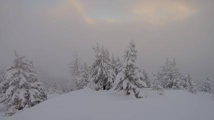 Banff Sunshine Village: Standish Viewing Deck (skibanff.com)