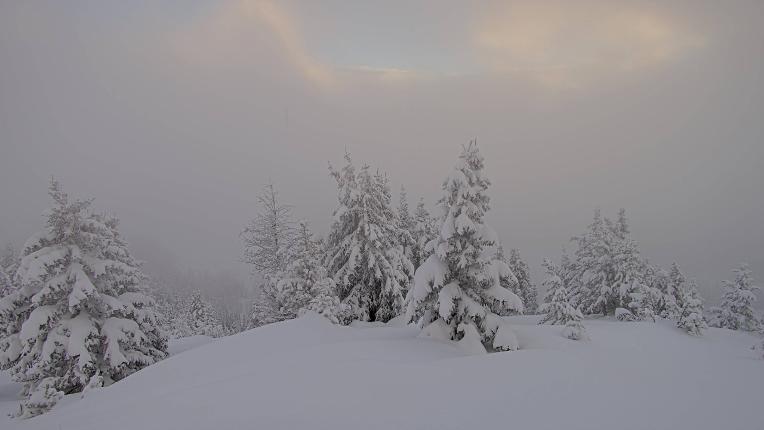 Webcam Banff Sunshine Village: Standish Viewing Deck