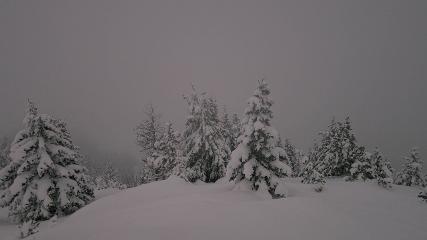 Banff Sunshine Village: Standish Viewing Deck (skibanff.com)