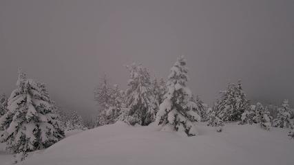 Banff Sunshine Village: Standish Viewing Deck (skibanff.com)