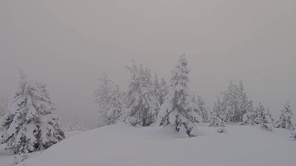 Banff Sunshine Village: Standish Viewing Deck (skibanff.com)