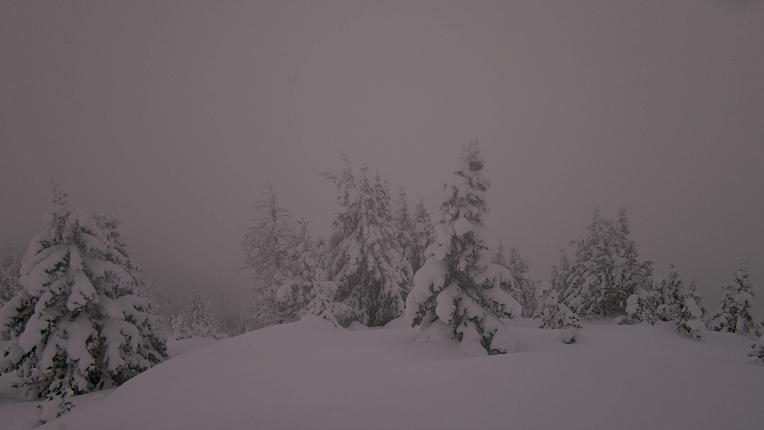 Webcam Banff Sunshine Village: Standish Viewing Deck