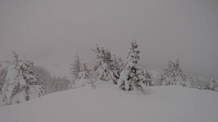 Banff Sunshine Village: Standish Viewing Deck (skibanff.com)