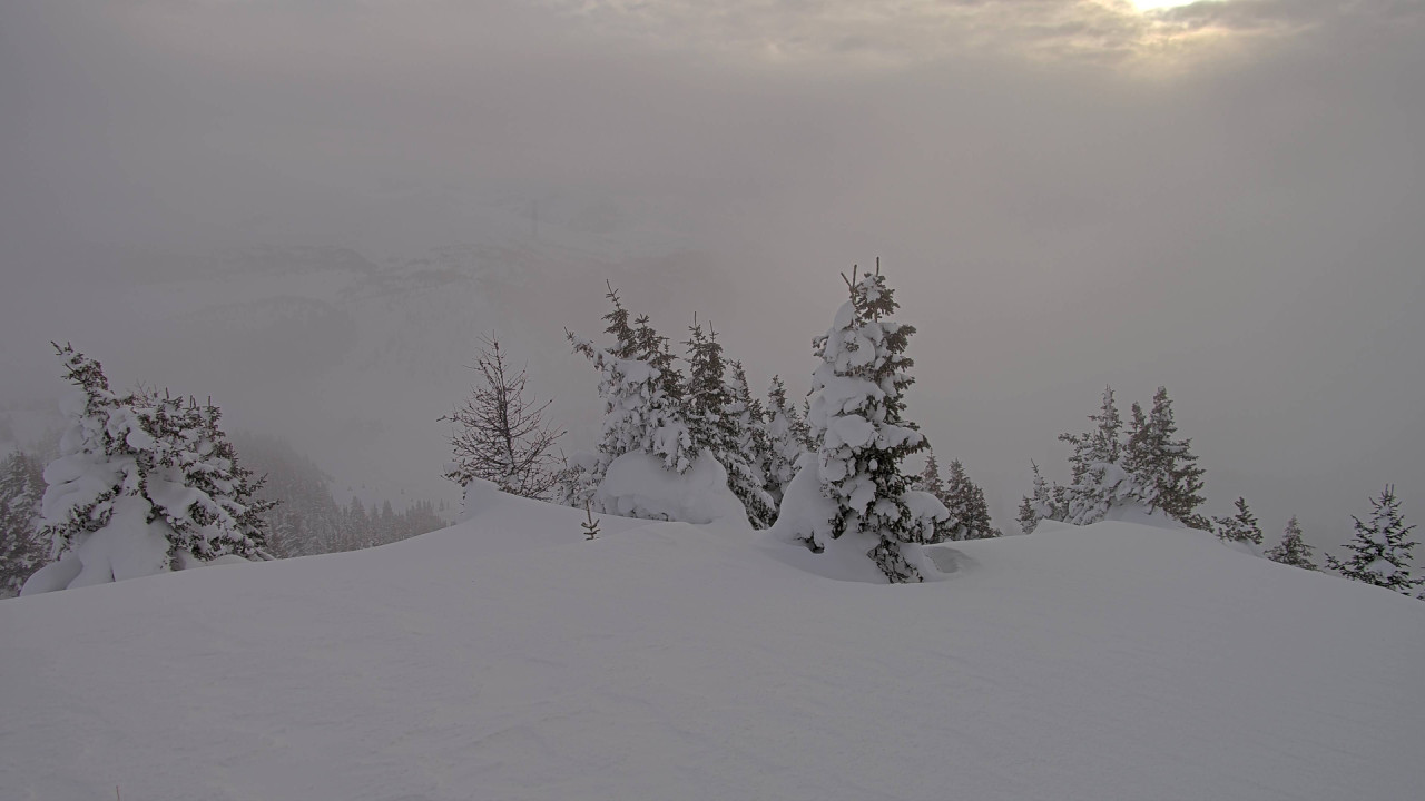Webcam Banff Sunshine Village: Standish Viewing Deck