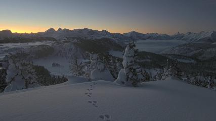 Banff Sunshine Village: Standish Viewing Deck (skibanff.com)