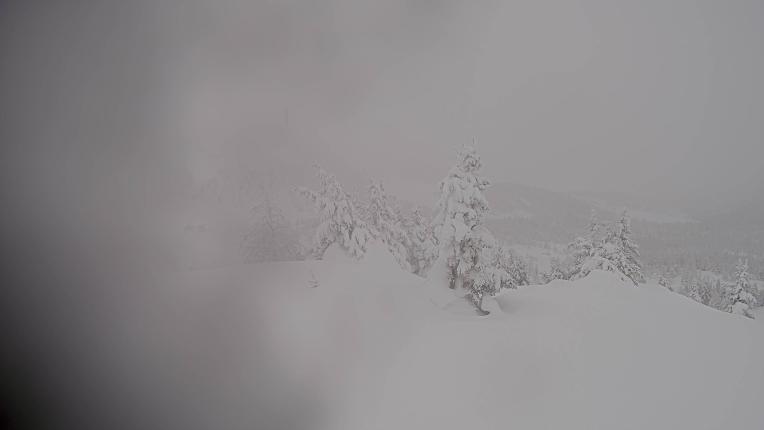 Webcam Banff Sunshine Village: Standish Viewing Deck