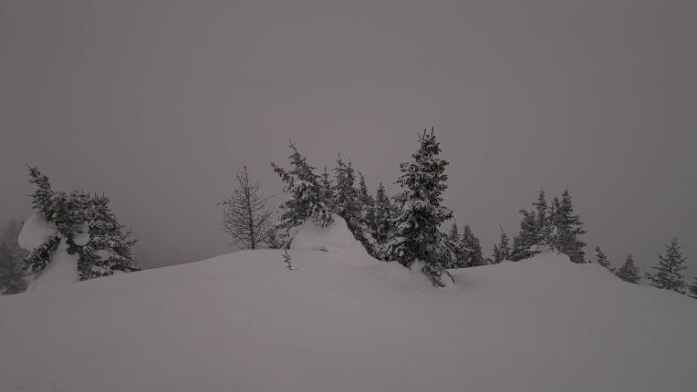 Webcam Banff Sunshine Village: Standish Viewing Deck