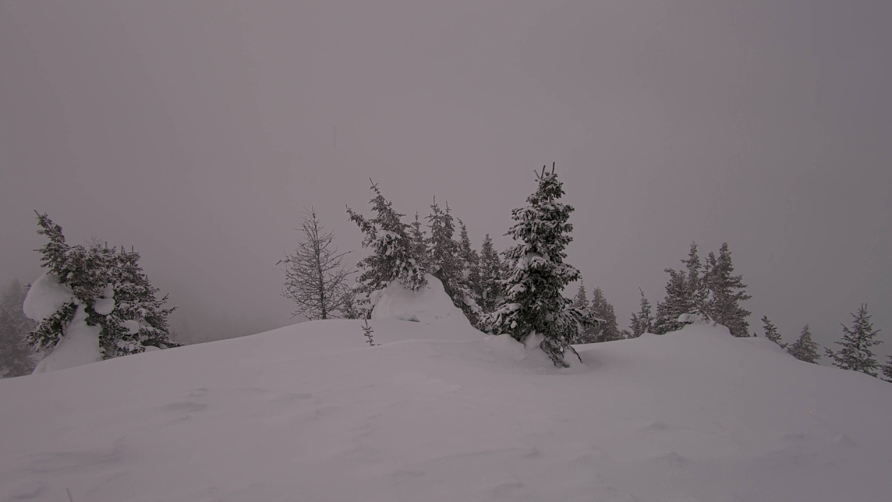 Webcam Banff Sunshine Village: Standish Viewing Deck