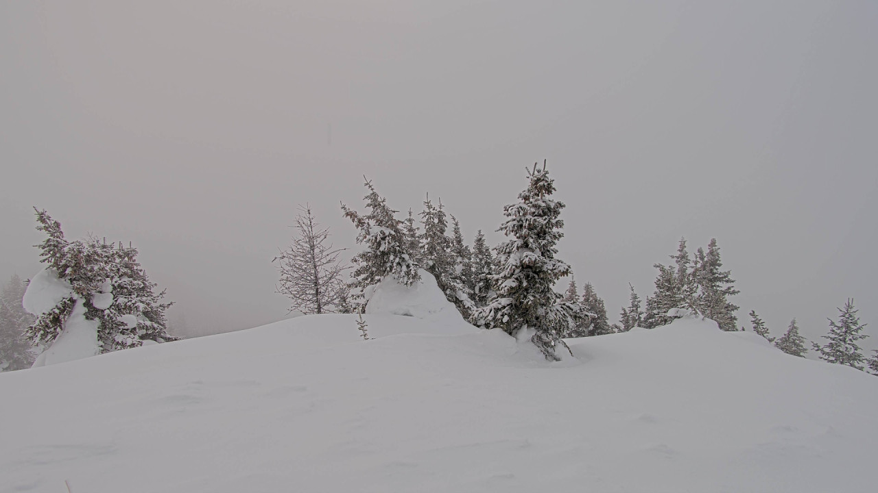 Webcam Banff Sunshine Village: Standish Viewing Deck